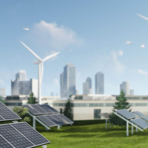 Untitled design (13)